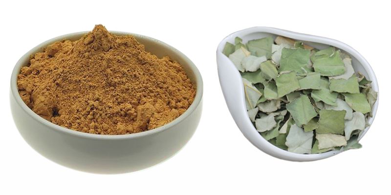 Lotus leaf extract powder display