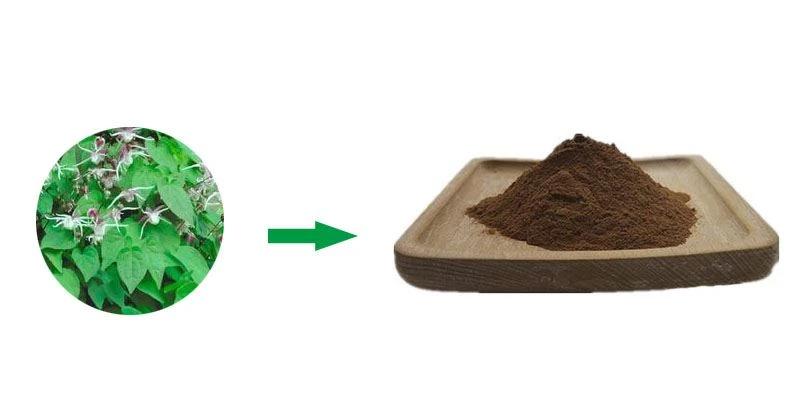 product-1-1 Introduction To Epimedium Extract Icariin