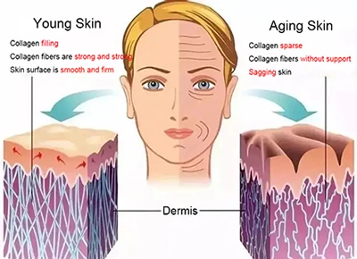kojic acid powder Anti-Aging kojic acid powder Anti-Aging
