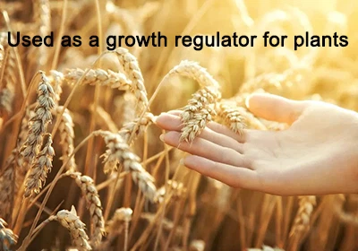 kojic acid powder Plant Growth Regulator